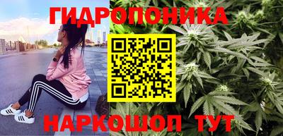 прущие грибы Малоярославец